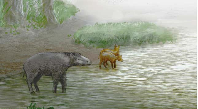A rendering of newly described species Leptolophus cuestai by a lake.