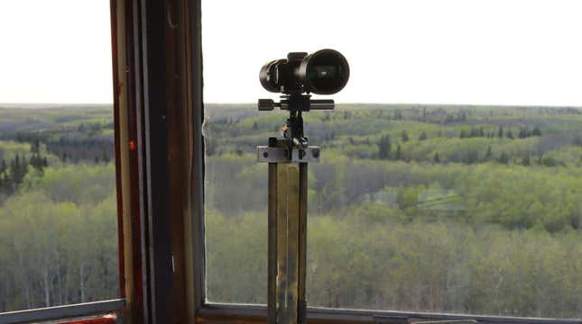 Image for article titled The 7 best jobs for going off the grid