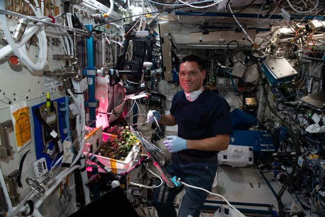 رائد فضاء ناسا فرانك روبيو يعتني بمحاصيله على متن محطة الفضاء الدولية.
