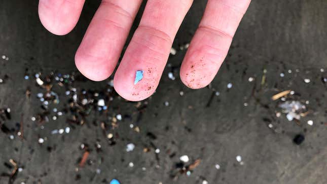 19 Ocak 2020'de Oregon'daki Depoe Körfezi'ne ulaşan mikroplastik kalıntılar.