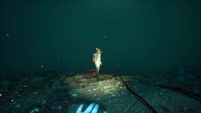 A diver looks out over a steep underwater cliff.