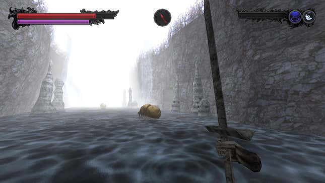 A first-person view shows a sword-wielding warrior regarding some large water insects in Lunacid.