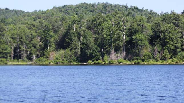 Image for article titled WTF: White Teen Called Black Child ‘George Floyd’ While Allegedly Trying To Drown Him