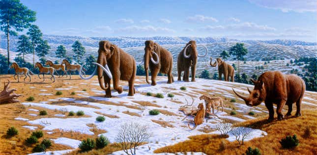 Woolly mammoths, rhinoceroses, horses, and cave lions depicted in northern Spain.