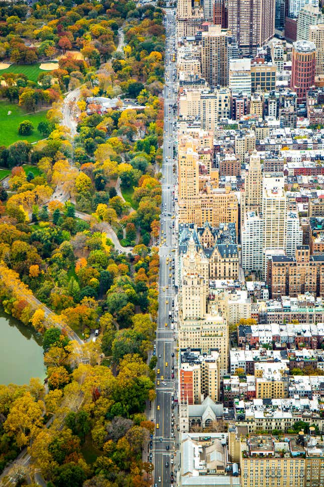 Central Park, New York. (National Geographic Travel Photographer of the Year Contest