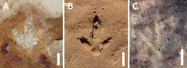 恐竜の足跡（左）、それを模倣した現代の足跡（中央）、恐竜の足跡を模倣したように見える岩面彫刻（右）。