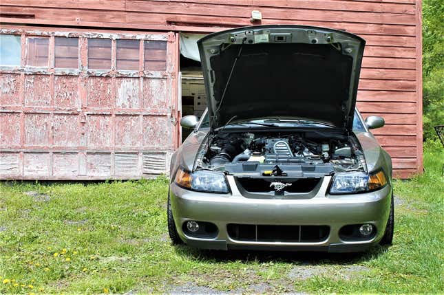 Image for article titled Mustang Enthusiast Buys Mint-Condition 2003 Ford Mustang Cobra 'Terminator' With Only 534 Miles