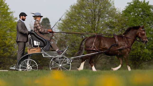 Two people ride on a horse and carriage. 