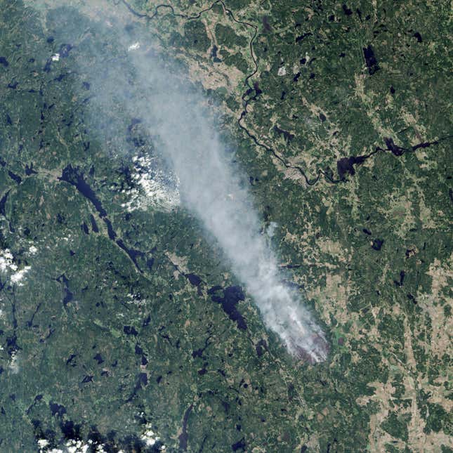 Image for article titled The destructive power of wildfires, seen from space