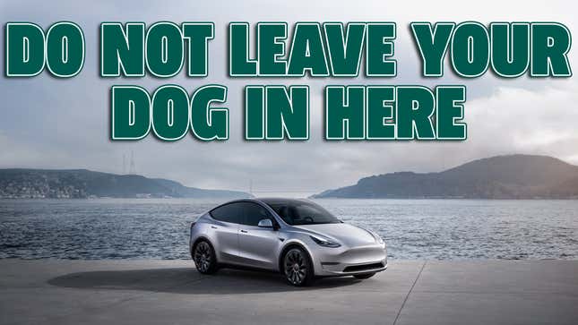 Image for article titled Tesla's Dog Mode Is Reportedly Totally Busted