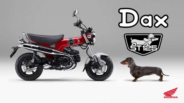 Image for article titled The Honda Dax Is Back