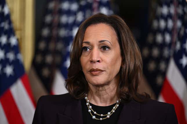 Vice President Kamala Harris is the presumptive Democratic nominee for president.