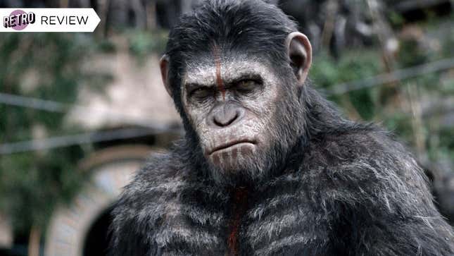 Andy Serkis as Caesar in Dawn of the Planet of the Apes.