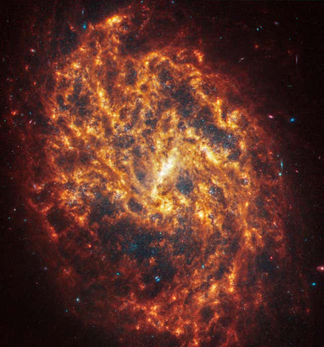 Image for article titled See Webb Telescope's 'Mind-Blowing' Collection of Spiral Galaxy Images