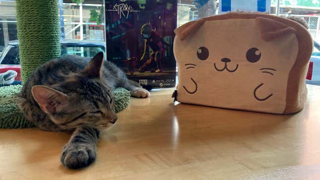 A kitten sleeps next to a poster for Stray in Meow Parlour.