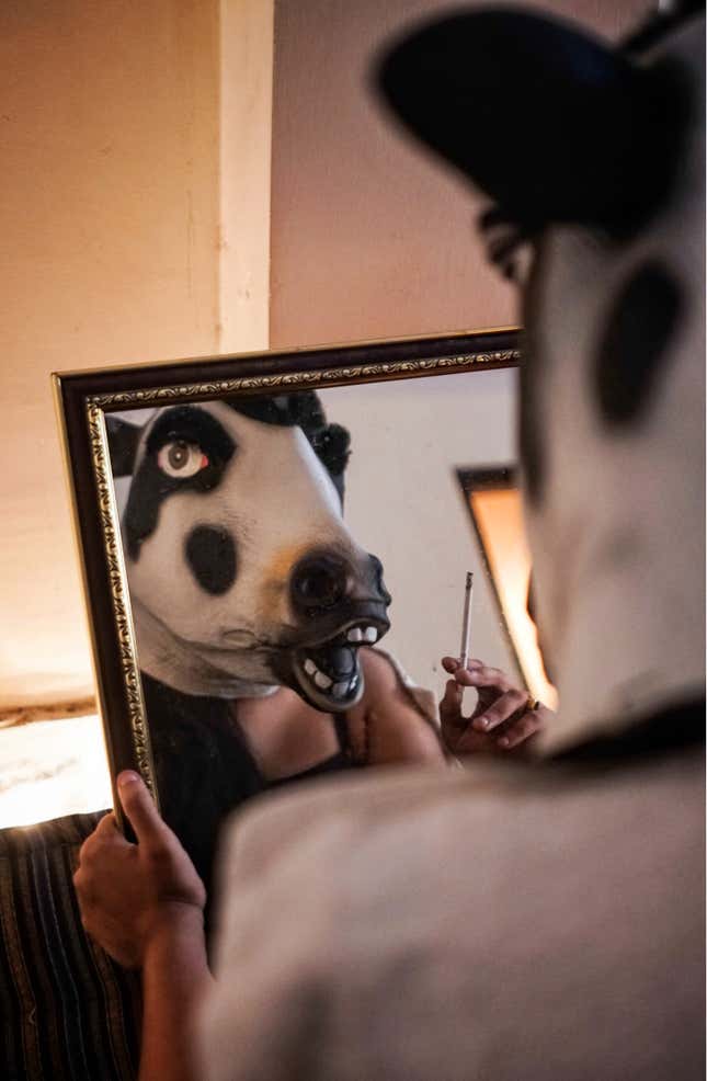 Image for article titled A striking photo project asks why India is better at protecting its cows than its women