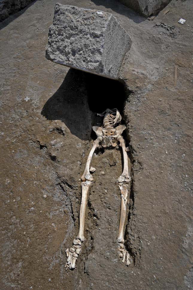 The skeleton of a victim of the eruption that destroyed Pompeii.