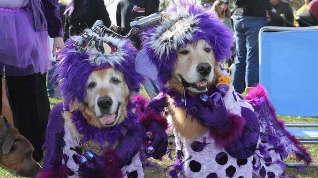 Your Greatest Halloween Party Faux Pas