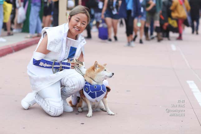 A human and their dog, both dressed as RD-D2.