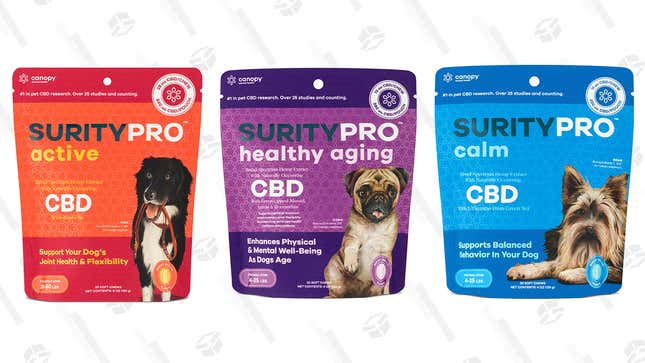 SurityPro CBD Soft Chews for Dogs | Canopy