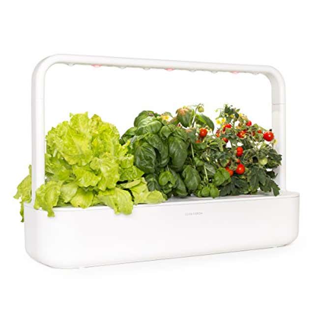 Image for article titled A Great Gift For the Green Thumb In Your Life