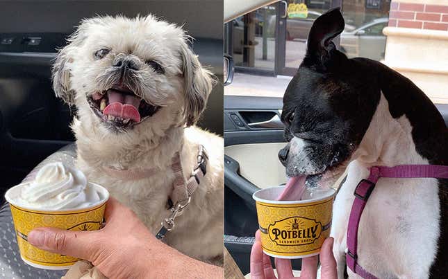 Some highly deserving taste testers