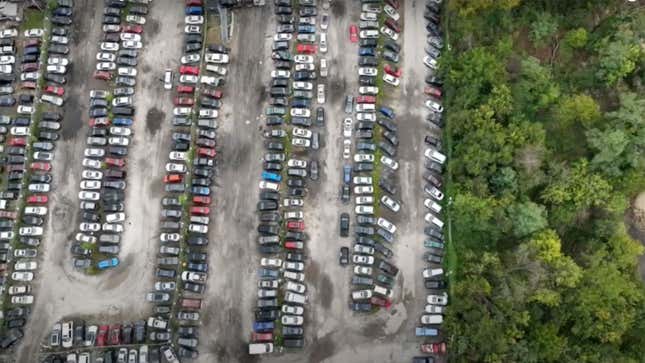 A photo of cars lined up at an impound lot in Baltimore. 