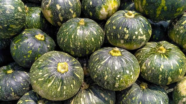 kabocha squash