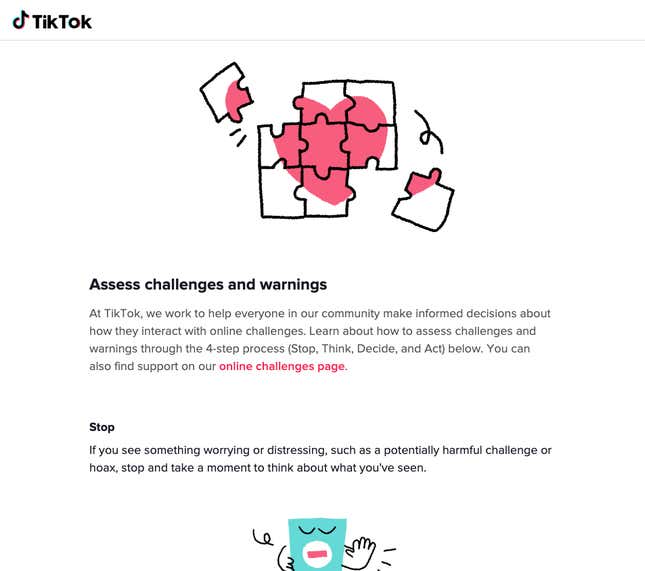 Screenshot of TikTok warning