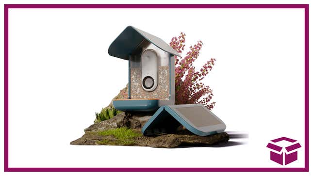 Image for article titled Give the Gift of Nature This Holiday With 37% Off The Bird Buddy® Pro Solar Bird Feeder