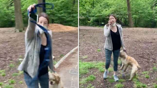 Central Park 'Karen' Loses Lawsuit Over Being Fired for Racism