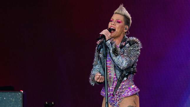 A Fan Apparently Threw Their Mom’s Ashes at Pink