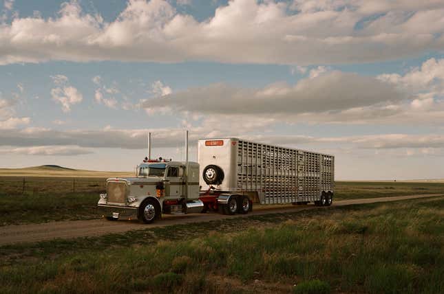 Image for article titled Fashion Photographer Captures the Most Beautiful Big-Rigs on Earth