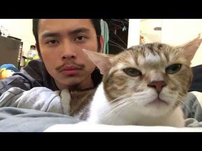 This Cat Rocking Out to 'Hotline Bling' Is Pretty Goddamn Chill