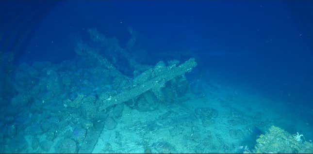 Remains of a wreck on the Skerki Bank off Tunisia.