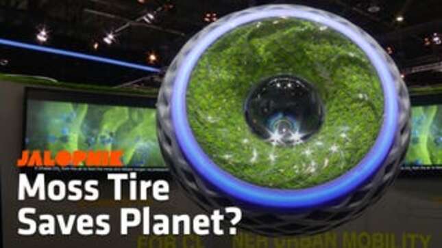This Is Your Moss-Filled Dystopian Tire Of The Future