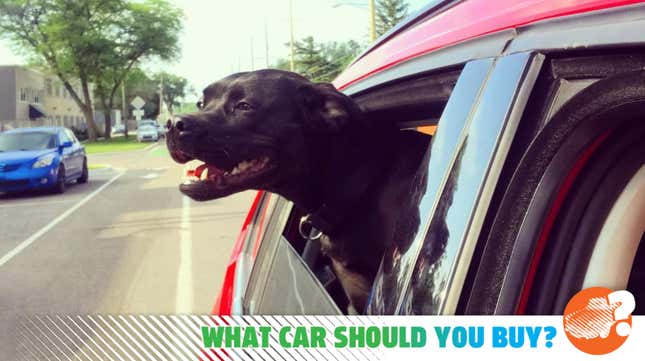 Image for article titled I Need A Cheap Car For My Big Dog And Fun Activities! What Car Should I Buy?