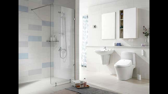 Bidet Toilet Seats: $20 vs. $750