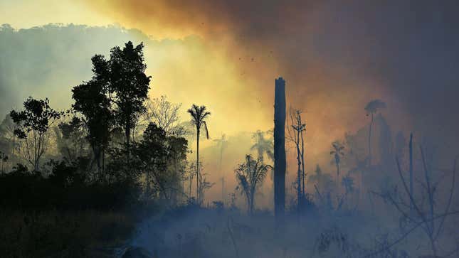 Smoke rises from an illegally lit fire in a section of Amazon rainforest, south of Novo Progresso in Para state, Brazil, on August 15, 2020. 