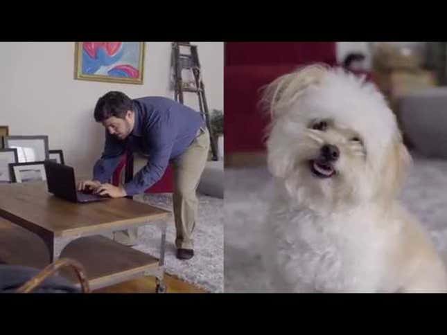 Teach Your Cat to Use Skype With This Pet Friendly Guide