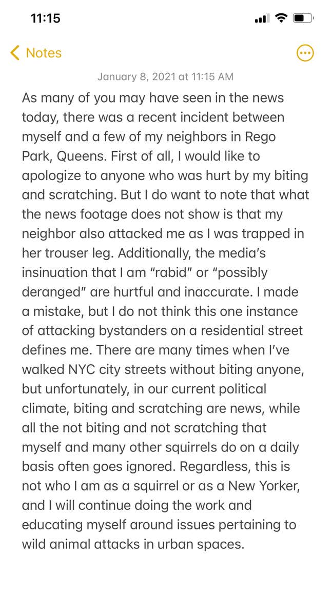 Image for article titled 'Possibly Deranged' Queens Squirrel Apologizes for Biting Neighbor: 'This Is Not Who I Am'
