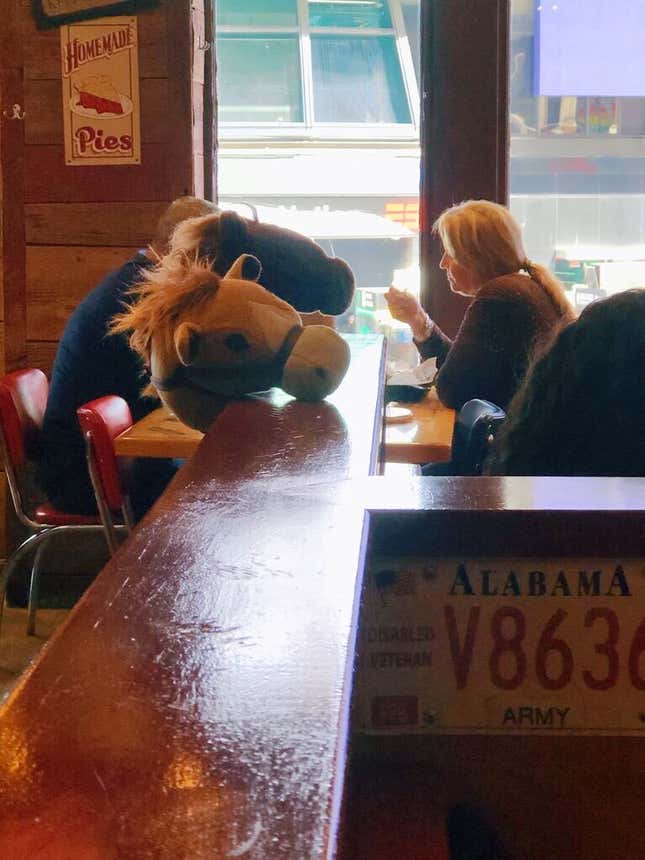 I got the horses in the back.