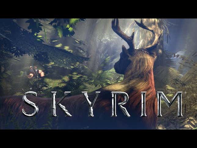 <i>Skyrim</i>, Summarized In 25 Seconds