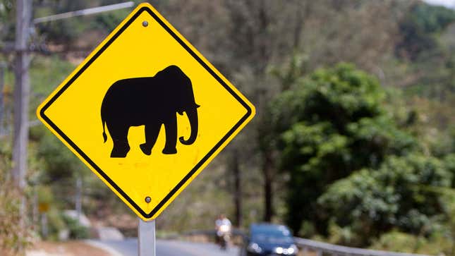 A photo of a yellow sign with a black elephant in the middle. 