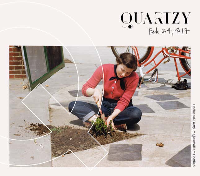 Image for article titled Quartzy: the rituals edition