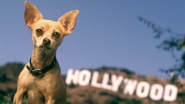 Gidget, Taco Bell’s ‘90s mascot