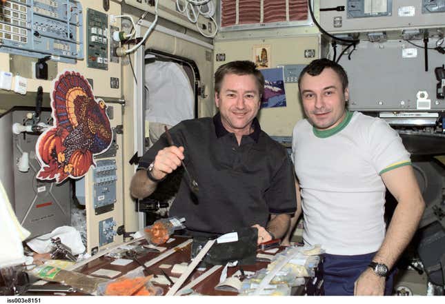 Image for article titled Space Turkey