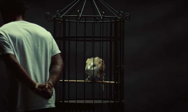 Image for article titled A Breakdown of Symbolism in Kendrick Lamar‘s &#39;Not Like Us’ Music Video