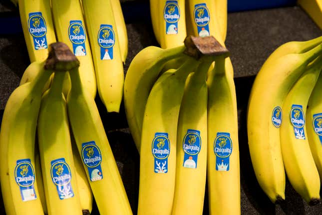 Bananas of the Chiquita company. 