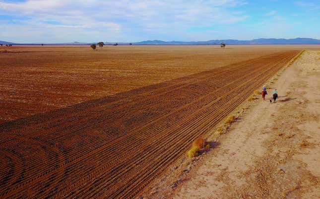 Farmers ride their horses next to a fence that adjoins a drought-affected paddock, in central New South Wales in July of 2018.